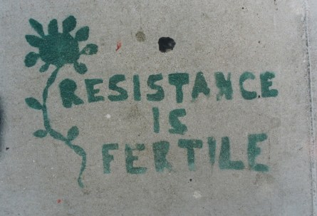 SF Valencia 2001 Resistance is Fertile